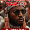 Ingarman Namiji Hausa Novels