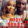 Mijin Beauty Hausa Novels