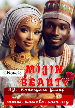 Mijin Beauty Hausa Novels